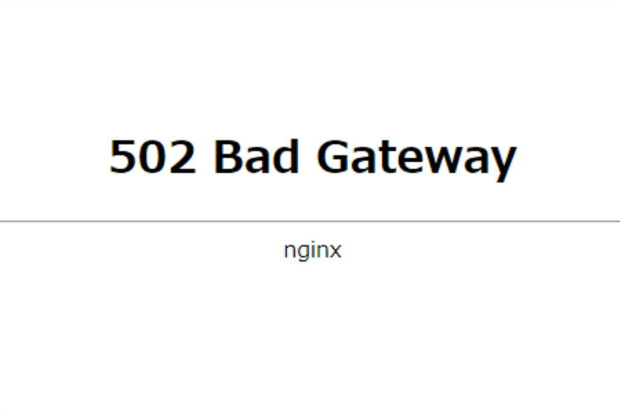 502 Bad Gateway ngix